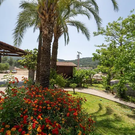 公寓 Marvelous House With Balcony And Mountain View Close To Inlice Beach In *
